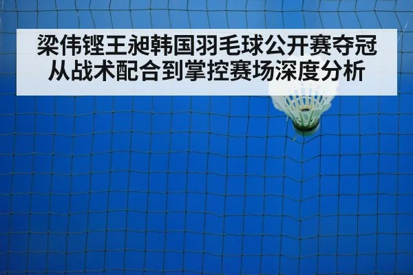 badminton net play